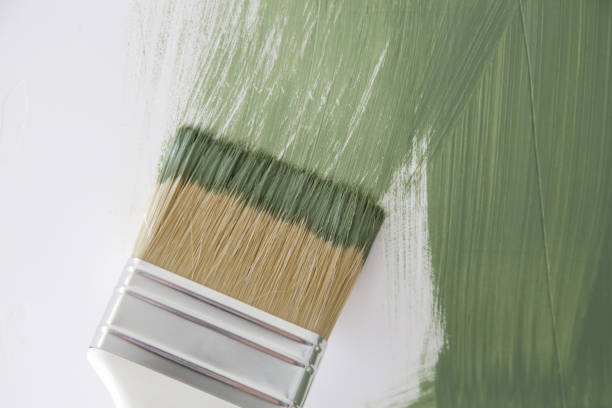 Mold Remediation for Rental Properties in Spanish Springs, NV