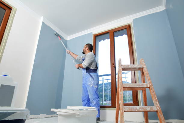 Mold Odor Removal Services in Spanish Springs, NV