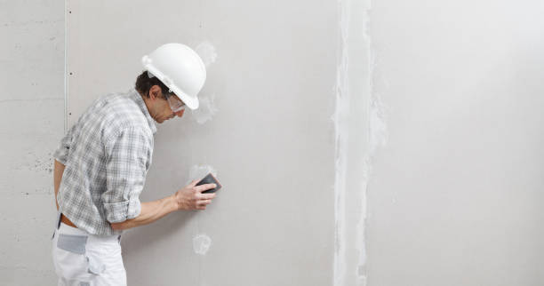 Best Environmental Consulting for Mold Prevention  in Spanish Springs, NV
