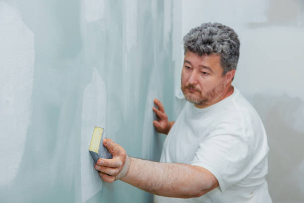 Best Water Damage & Mold Remediation  in Spanish Springs, NV