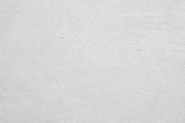 Best Mold Odor Removal Services  in Spanish Springs, NV
