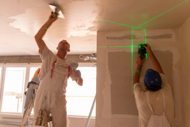 Best Comprehensive Air Testing for Mold Contaminants  in Spanish Springs, NV
