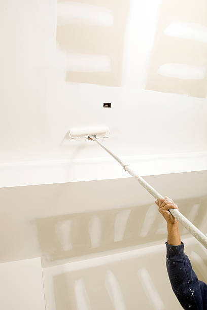 Best Mold Remediation for Healthcare Facilities  in Spanish Springs, NV