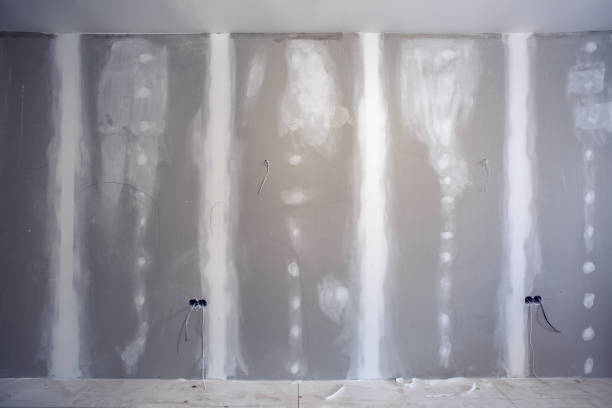 Best Mold Damage Restoration  in Spanish Springs, NV